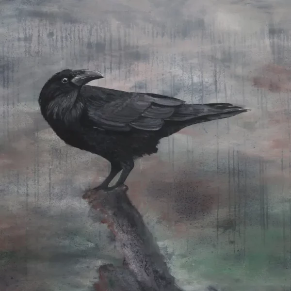 obraz Krkavec - pták sedí v dešti na starém kůlu.