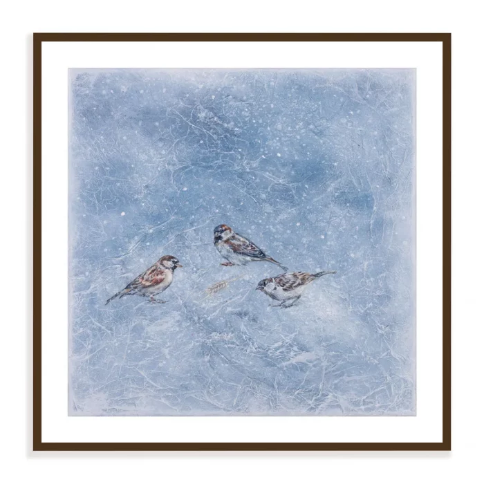 Obrázek tří vrabčáků v zimě - tisk s bílým okrajem, v rámečku.