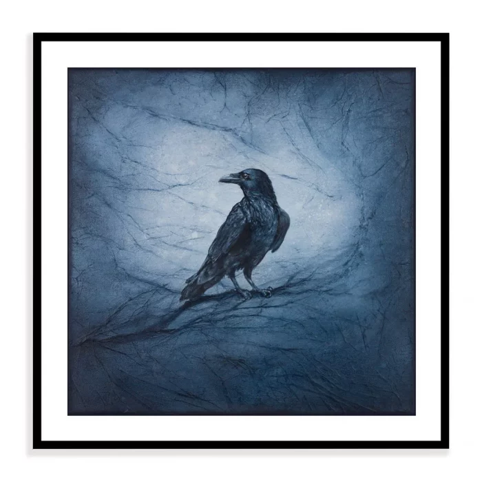 Tisk obrázku vrány černé s bílým okrajem v tmavém rámečku.